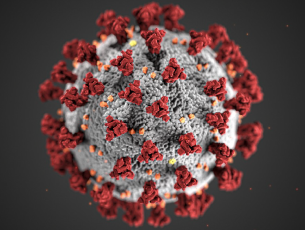 Rubrique dédiée à l'actualité du coronavirus en lien avec le cancer