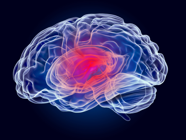 Classification des tumeurs du cerveau 