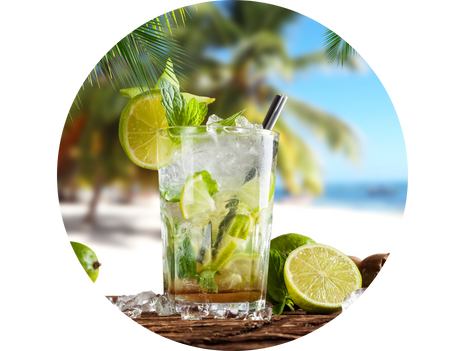 Virgin Mojito